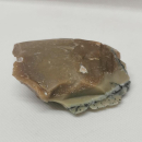 Opalisiertes Versteinertes Holz